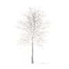 Sugar Maple with Snow 3D Model 7.3m (10020) - Image 3