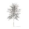 Sugar Maple with Snow 3D Model 7.3m (10020) - Image 4