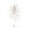 Sugar Maple with Snow 3D Model 7.3m (10020) - Image 5