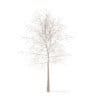 Trees 3D Models Collection - Volume 100 - Image 21