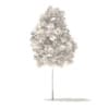 Quaking Aspen 3D Model 2.6m (10021) - Image 2