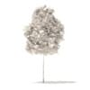Quaking Aspen 3D Model 2.6m (10021) - Image 4
