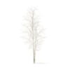 Quaking Aspen with Snow 3D Model 3.6m (10024) - Image 5