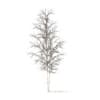 Quaking Aspen with Snow 3D Model 3.6m (10024) - Image 6