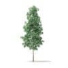 Trees 3D Models Collection - Volume 100 - Image 26