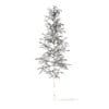 Quaking Aspen with Snow 3D Model 5.6m (10026) - Image 2