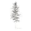 Quaking Aspen with Snow 3D Model 5.6m (10026) - Image 4