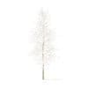 Quaking Aspen with Snow 3D Model 7m (10028) - Image 3