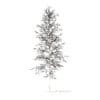 Quaking Aspen with Snow 3D Model 7m (10028) - Image 6