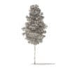 Quaking Aspen 3D Model 9.7m (10029) - Image 4
