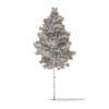 Quaking Aspen 3D Model 9.7m (10029) - Image 6