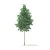 Trees 3D Models Collection - Volume 100 - Image 30