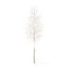 Quaking Aspen with Snow 3D Model 9.7m (10030) - Image 3