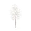 Trees 3D Models Collection - Volume 100 - Image 35