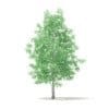 Trees 3D Models Collection - Volume 100 - Image 36