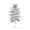 American Sweetgum with Snow 3D Model 5.4m (10036) - Image 2