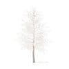 American Sweetgum with Snow 3D Model 5.4m (10036) - Image 3
