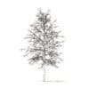 American Sweetgum with Snow 3D Model 5.4m (10036) - Image 6