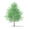 Trees 3D Models Collection - Volume 100 - Image 38