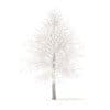 American Sweetgum with Snow 3D Model 6.3m (10038) - Image 3