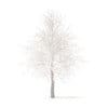 American Sweetgum with Snow 3D Model 6.3m (10038) - Image 5