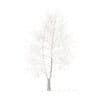 American Sweetgum with Snow 3D Model 9m (10040) - Image 5