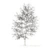 American Sweetgum with Snow 3D Model 9m (10040) - Image 6