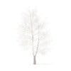 Trees 3D Models Collection - Volume 100 - Image 41