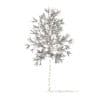 American Elm with Snow 3D Model 2.2m (10042) - Image 2