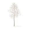 American Elm with Snow 3D Model 2.2m (10042) - Image 3