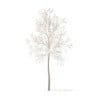 American Elm with Snow 3D Model 2.2m (10042) - Image 5