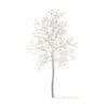 Trees 3D Models Collection - Volume 100 - Image 43