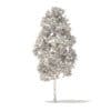 American Elm 3D Model 3.3m (10043) - Image 6