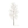 American Elm with Snow 3D Model 3.3m (10044) - Image 3