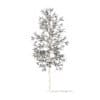American Elm with Snow 3D Model 3.3m (10044) - Image 4