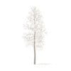 Trees 3D Models Collection - Volume 100 - Image 45