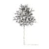 American Elm with Snow 3D Model 7m (10048) - Image 6