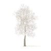 Trees 3D Models Collection - Volume 100 - Image 51