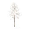 Trees 3D Models Collection - Volume 100 - Image 53
