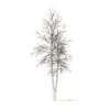 River Birch with Snow 3D Model 4.9m (10054) - Image 2