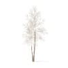 River Birch with Snow 3D Model 4.9m (10054) - Image 5