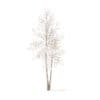 Trees 3D Models Collection - Volume 100 - Image 55
