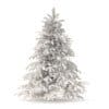 Spruce Tree 3D Model