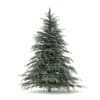 Spruce Tree 3D Model