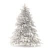 Spruce Tree 3D Model