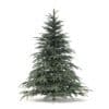 Spruce Tree 3D Model