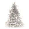 Spruce Tree 3D Model