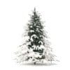 Spruce Tree with Snow 3D Model 2.3m (9802) - Image 5