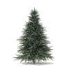 Spruce Tree 3D Model 1.6m