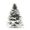 Spruce Tree with Snow 3D Model 1.6m (9804) - Image 3